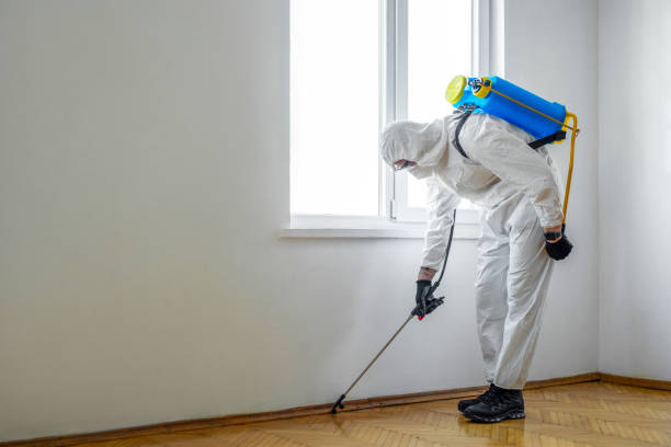 Professional Pest Control in Villa Grove, IL